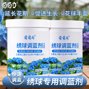 萌萌肉绣球专用调蓝剂专用硫酸铝溶液无尽夏通用上色调蓝肥花肥料