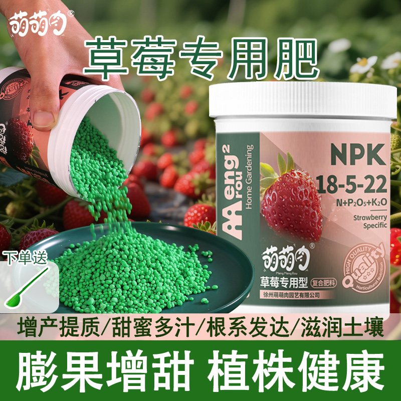草莓肥料专用肥家用盆栽
