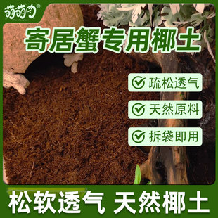 爬宠专用椰土乌龟冬眠专用土仓鼠爬宠蜘蛛用垫材乌龟冬眠饲养缸