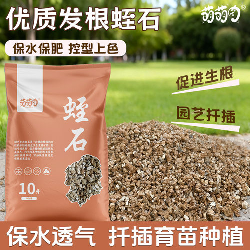 优质发根蛭石扦插用多肉养花专用