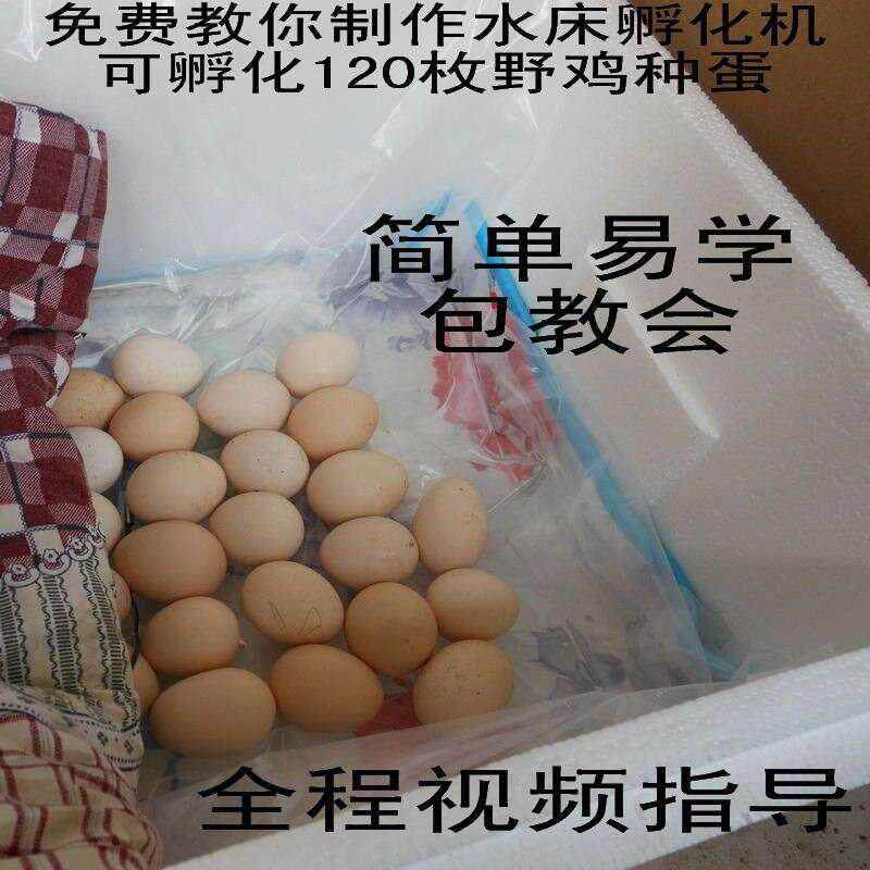 自制自动控温小型家用型水床孵化器小鸡鹌鹑鸽子蛋孵化机孵蛋器箱