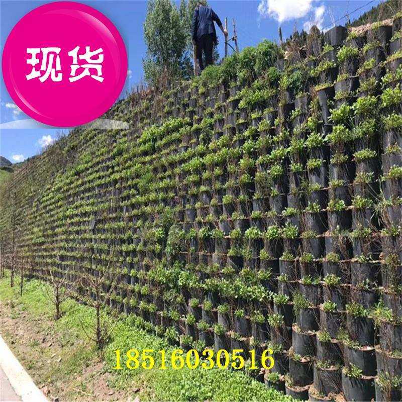 园林88绿化植草塑料土工格室河道护坡土工格室铺路网格蜂窝土工格