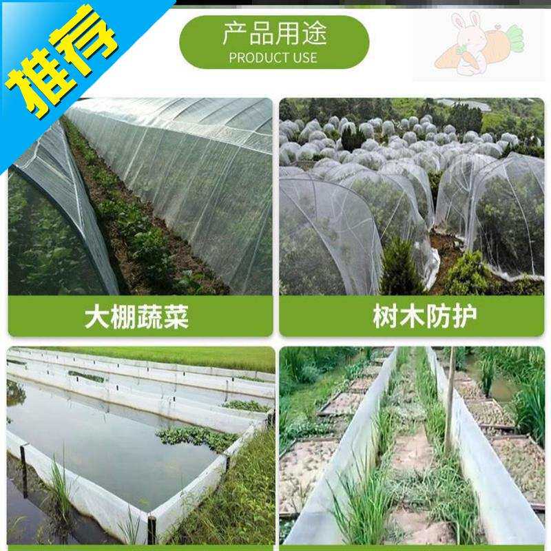 尼龙防虫网罩蔬菜实用t家用大棚2020新款简易透气新款加密型葡萄