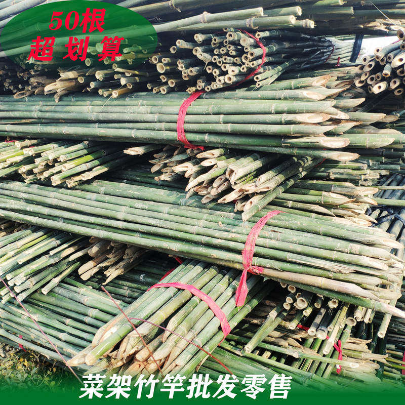 豆角架黄瓜架子小竹子细竹竿菜园搭架 园艺户外棍竹杆1米2米3米