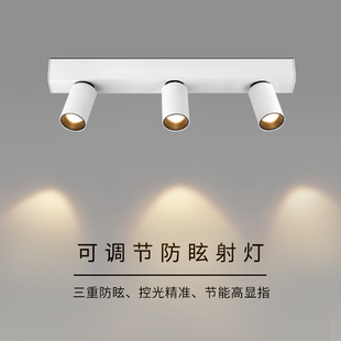 北欧明装 双头射灯LED筒灯白色可调角度顶灯入户玄关衣帽间天花灯