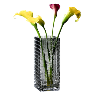 北欧风玻璃花瓶摆件客厅插花透明网红轻奢软装水养ins高锤纹方形