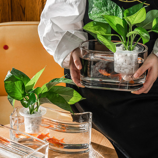 生态瓶微景观水族箱造景斗鱼缸水养植物容器创意鱼花共养造景花瓶