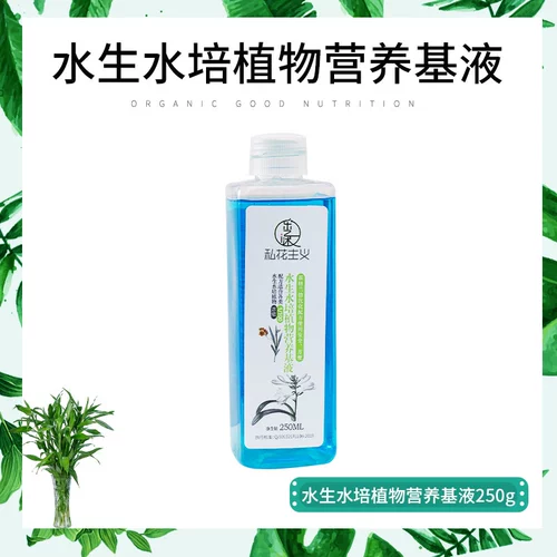 Питательные жидкие зеленые растения общие -ориентированные на горшечный посадку, посаженные популярными посаженными бамбуковыми удобрениями цветочный цветок цветок жир цветочный цветок вода.