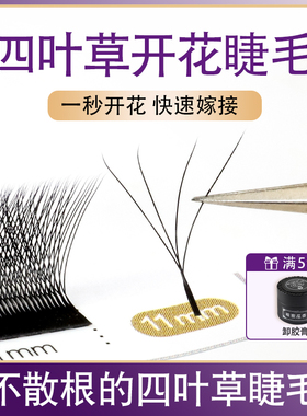 四叶草嫁接睫毛Y型升级款超软不散根4D仙朵自然浓密美睫开花睫毛