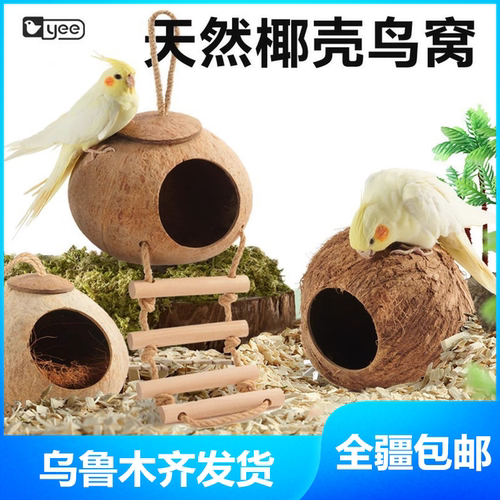只发新疆鸟房子虎皮鸟巢大椰子壳