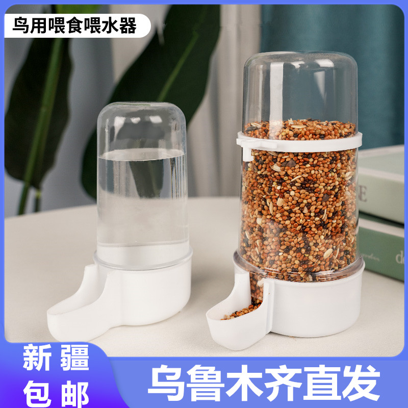 只发新疆自动鸟用食盒鸽子