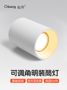 照明 采购产品圆形表面安装 没有主灯 没有开口 客厅家庭 筒灯