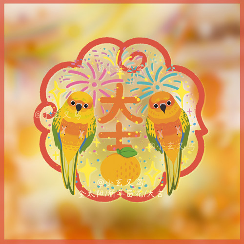 金太阳鹦鹉窗花 和尚鹦鹉玻璃贴 鹦鹉防撞贴鸟类玻璃贴鸟周边窗花