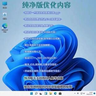 纯净版优化内存系统盘安装win10/11支持多开无广告