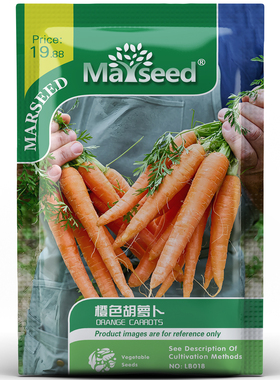 田园经典橙色胡萝卜高产种孑子籽  口感脆甜健康家庭蔬果易种植