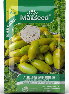 法国特色不列塔尼的挚爱矮番茄种子种苗饱满多汁家庭园艺蔬菜A002