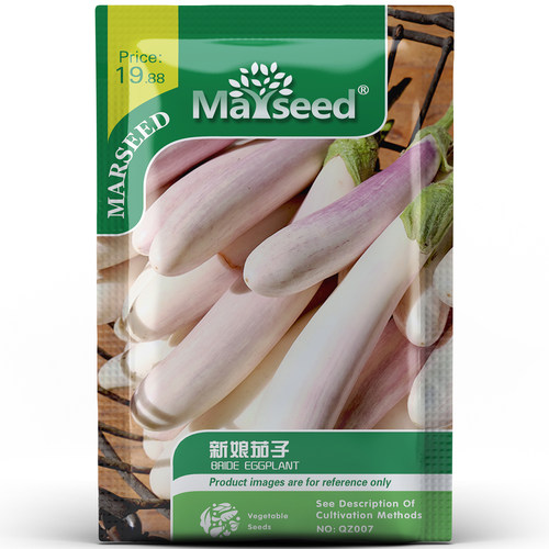 好看美味的“新娘”茄子种子