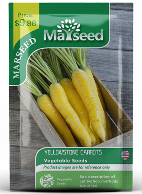 【MARSEED火星家】传家宝Yellowstone黄石胡萝卜种子籽孑苗