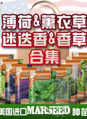 【香草合集】进口迷迭香百里香柠檬薄荷香料紫苏鼠尾草罗勒种子孑