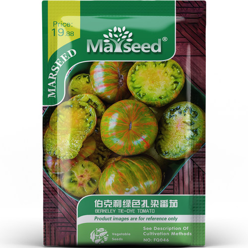 稀有伯克利绿色扎染番茄果肉沙软风味浓郁庭院高颜值蔬菜种子种苗