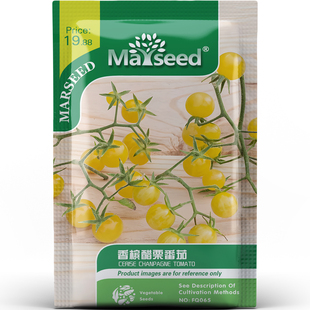 香槟醋栗番茄种子种苗法式浪漫传家蜜甜爆汁沙拉蔬菜阳台盆栽C017