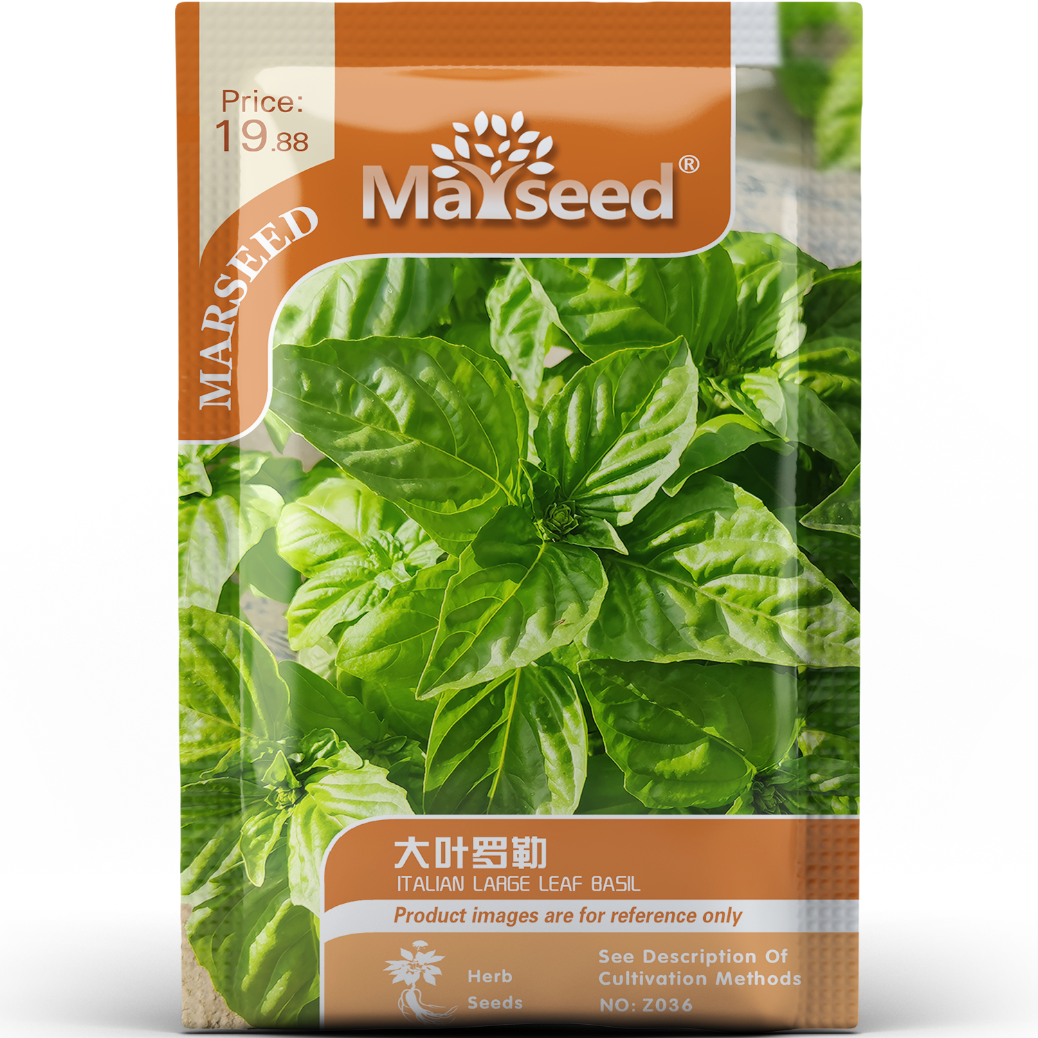 大叶罗勒种子种苗意大利品种宽叶型柔香沙拉酱料调味观赏香草C156