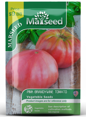 【MARSEED火星家】传家宝PINK BRANDYWINE 粉白兰地番茄种子