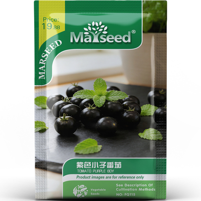 稀有矮生紫色小子樱桃番茄圆润口感甜蜜蔬菜阳台盆栽种子种苗A205
