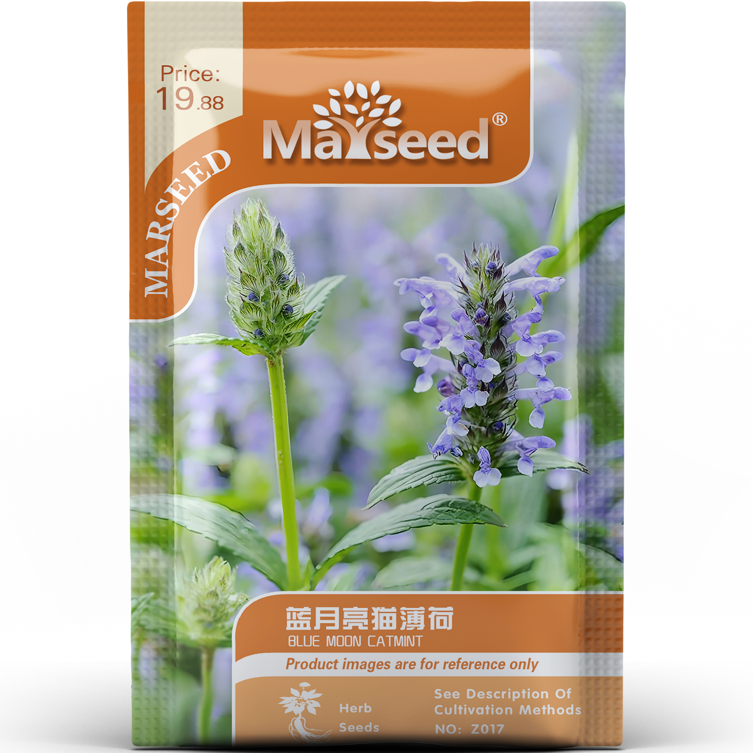 快乐草蓝月亮猫薄荷叶片鲜嫩猫咪爱互动阳台盆栽庭院香草种子种苗