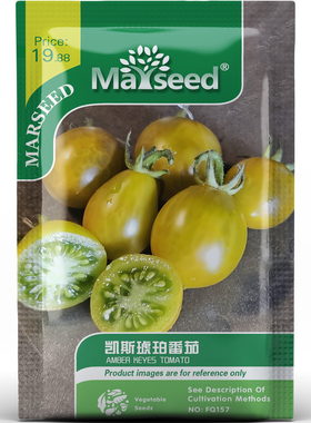 凯斯琥珀番茄种子种苗琥珀水滴梨形果超大簇爆汁凉拌盆栽蔬菜C093