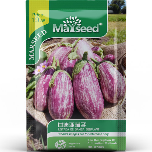 甘迪亚茄子种子种苗西班牙条纹茄薄皮紧肉清甜无涩坚果香蔬菜C203