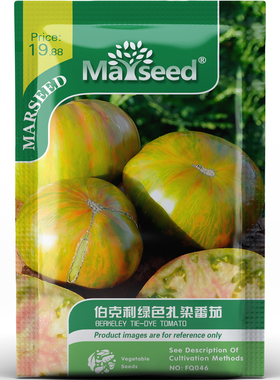伯克利绿色扎染番茄种子种苗三色条纹生食沙拉高产阳台蔬菜C024