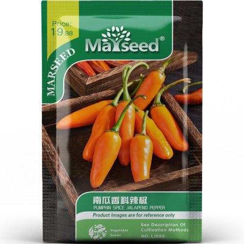 明亮色彩南瓜香料辣椒果香风味百搭烹饪蔬菜家常庭院种子种苗A210