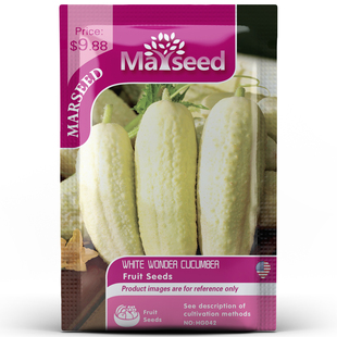 【MARSEED火星家】进口传家宝White Wonder 白色奇迹黄瓜种子籽孑