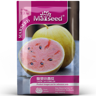 获2012年AAS奖仙灵小西瓜种子 推荐 高糖美味盆栽蔬果孑籽 新品