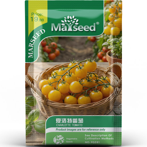 颜值天花板夏洛特樱桃番茄脆甜爆汁减脂盆栽地栽新手友好种子种苗