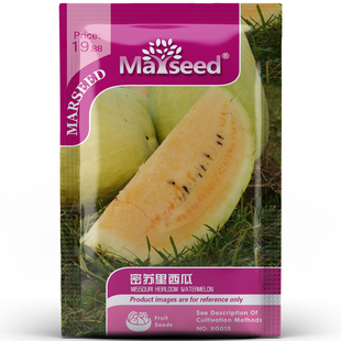【新品推荐】进口古老传家宝密苏里西瓜爽口产量丰富种子孑籽苗