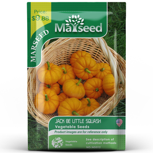 进口传家宝Jack Little超甜高产杰克贝小南瓜种子 掌柜推荐