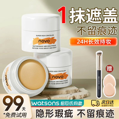 遮瑕膏遮盖斑点脸部痘印