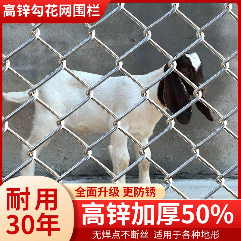 镀锌铁丝网围栏网养殖钢丝果园牛羊猪护栏网养鸡圈养网格狗勾花网