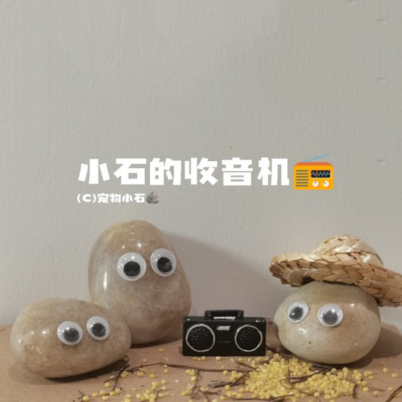 森林音乐会！宠物小石收音机树脂仿真复古微缩装饰摆件宠物石头