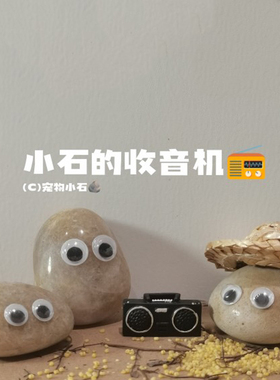 森林音乐会！宠物小石收音机树脂仿真复古微缩装饰摆件宠物石头