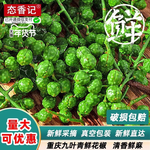 青花椒新鲜藤椒江津鲜花椒青藤椒350g/袋真空特麻保鲜麻椒生花椒 - 封面