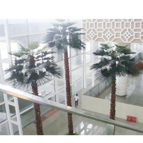 仿真棕榈树蒲葵树园林工程造景椰子树保鲜棕榈树假树工厂