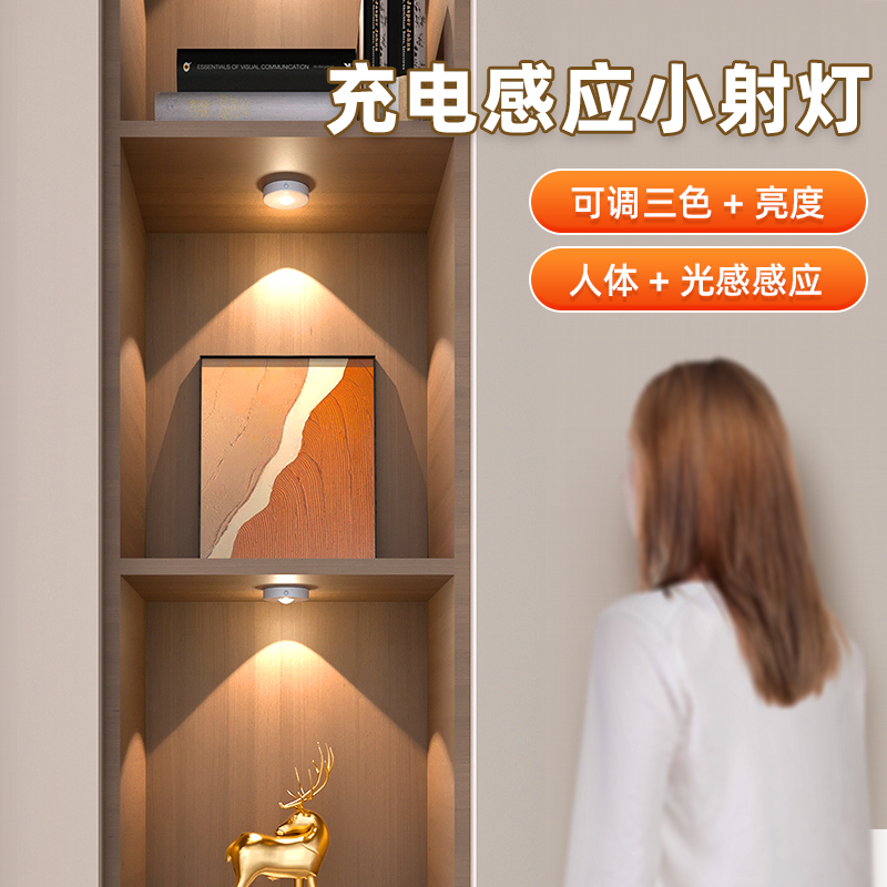 感应灯人来即亮人走即灭