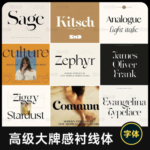 精选10个时尚高级衬线英文字体 高端精致优雅电脑字体包ps ai cdr