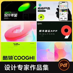 30套设计专家作品集 大厂优秀平面视觉UI设计案例模版参考素材PDF