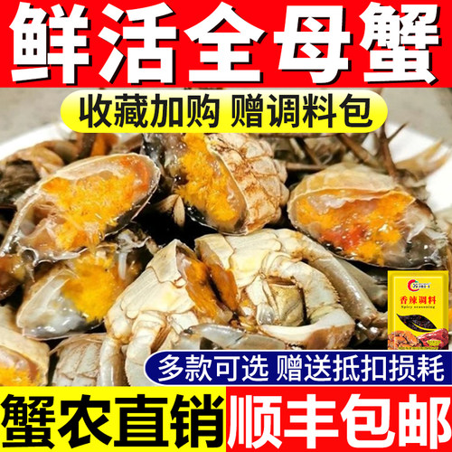 壳薄肉嫩/只只有黄