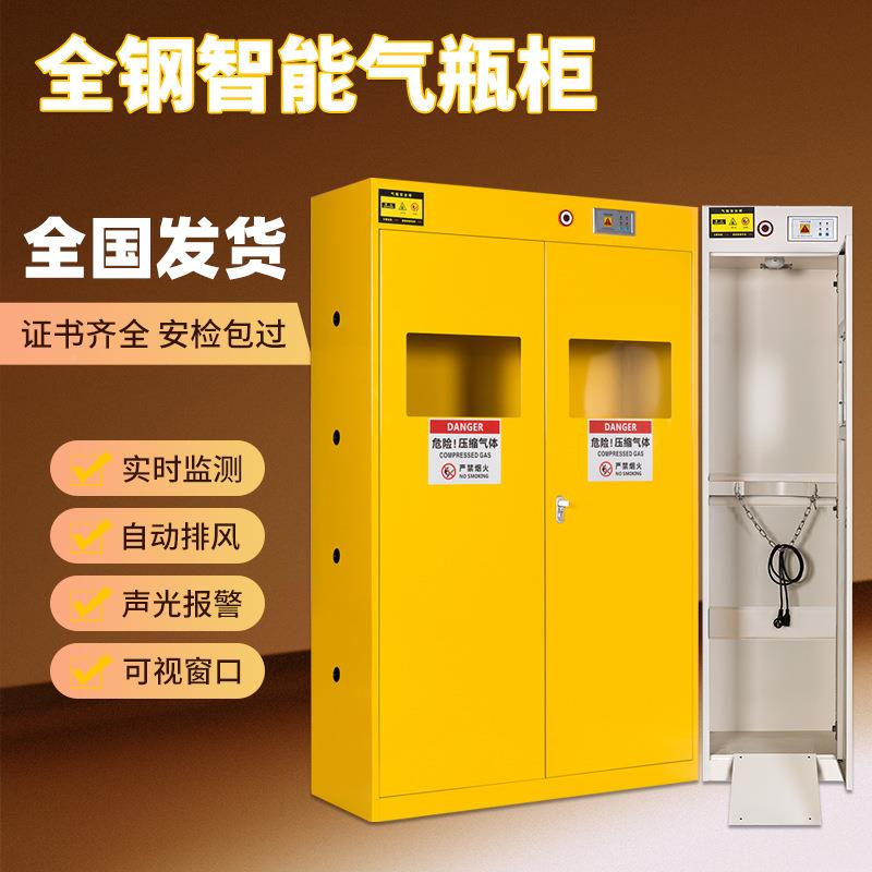 实气验室智能全钢柜带报警钢瓶柜乙炔氢气F00300瓶体安全柜防爆气