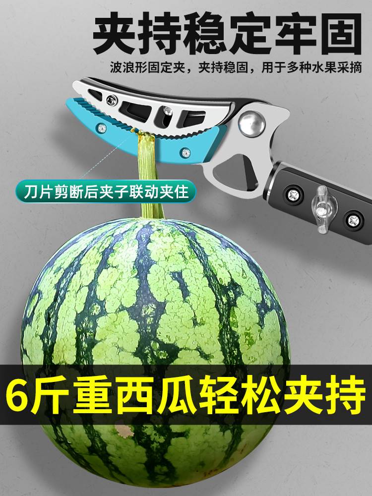 摘果神器摘枇杷龙眼荔枝水果树枝剪刀伸缩高空剪加长高枝剪摘果剪